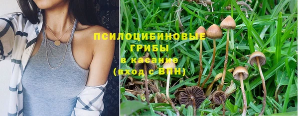 прущие крисы Алзамай