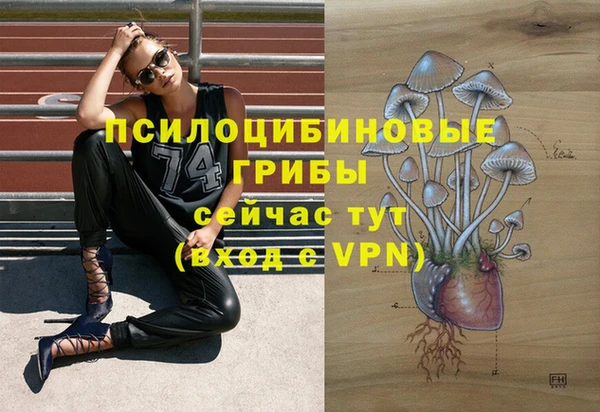стафф Алексеевка