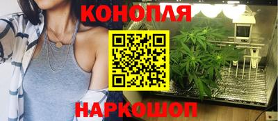 Альфа ПВП Обнинск